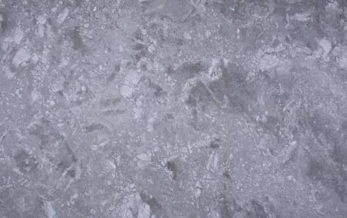 Dolomite: Arabescato