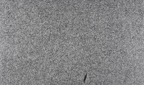 Granite: Coastal White