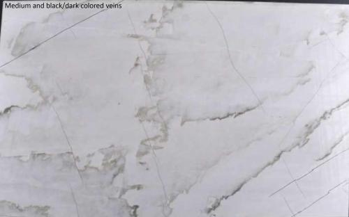 Quartzite: Calacatta White