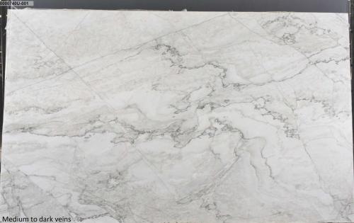 Quartzite: Calacatta White