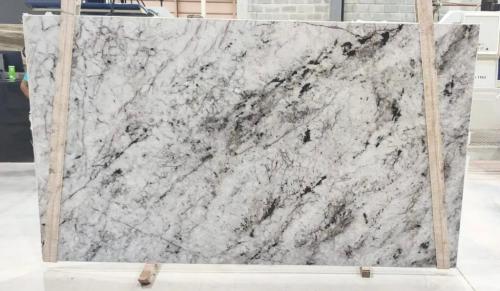 Quartzite: Harpia Crystal