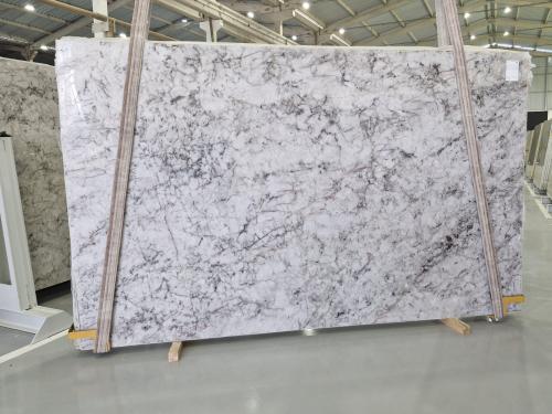 Quartzite: Harpia Crystal