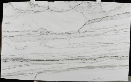 Quartzite: Statuario