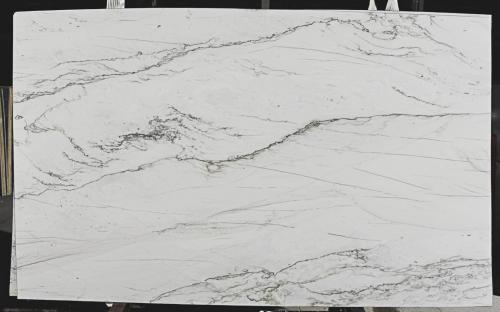 Quartzite: Statuario